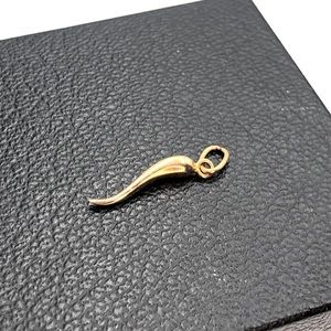 Vintage Italian 18K Gold Cornicello